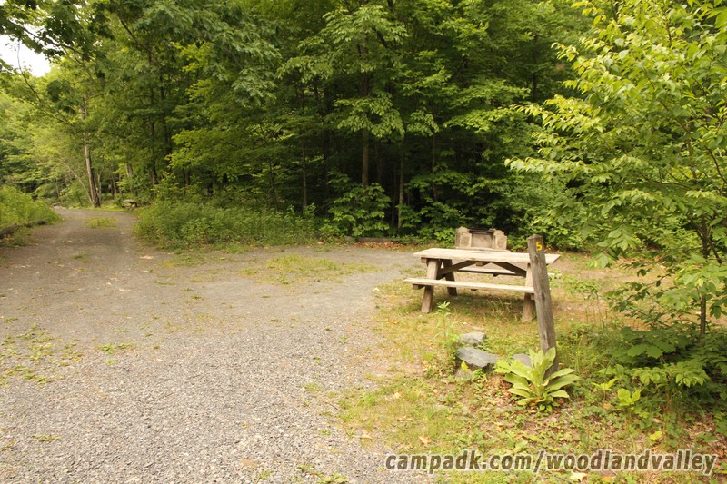 Campsite Photo of Site 5 at Woodland Valley Campground, New York - Looking at Site from Road Sign Visible