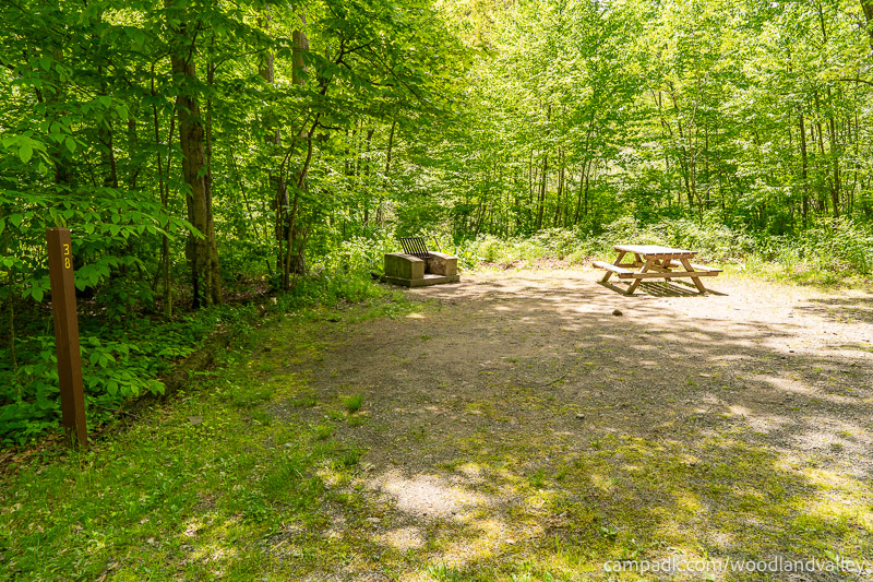 Campsite Photo of Site 38 at Woodland Valley Campground, New York - Looking at Site from Road Sign Visible